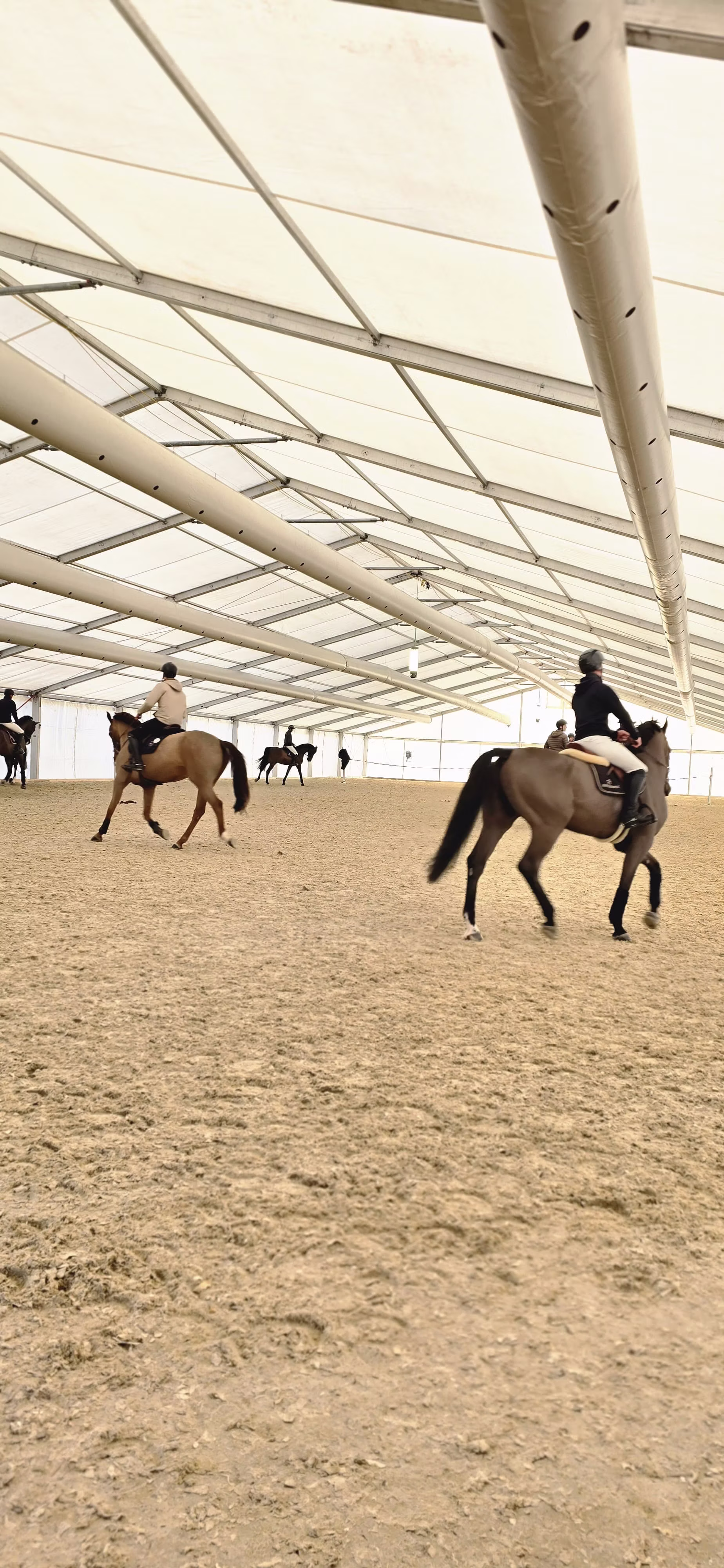 Mehrere Reiter trainieren mit ihren Pferden in einer grossen überdachten Halle beim LONGINES CHI CLASSICS BASEL 2025. © FERIZ AG | Nutzung nur mit Genehmigung